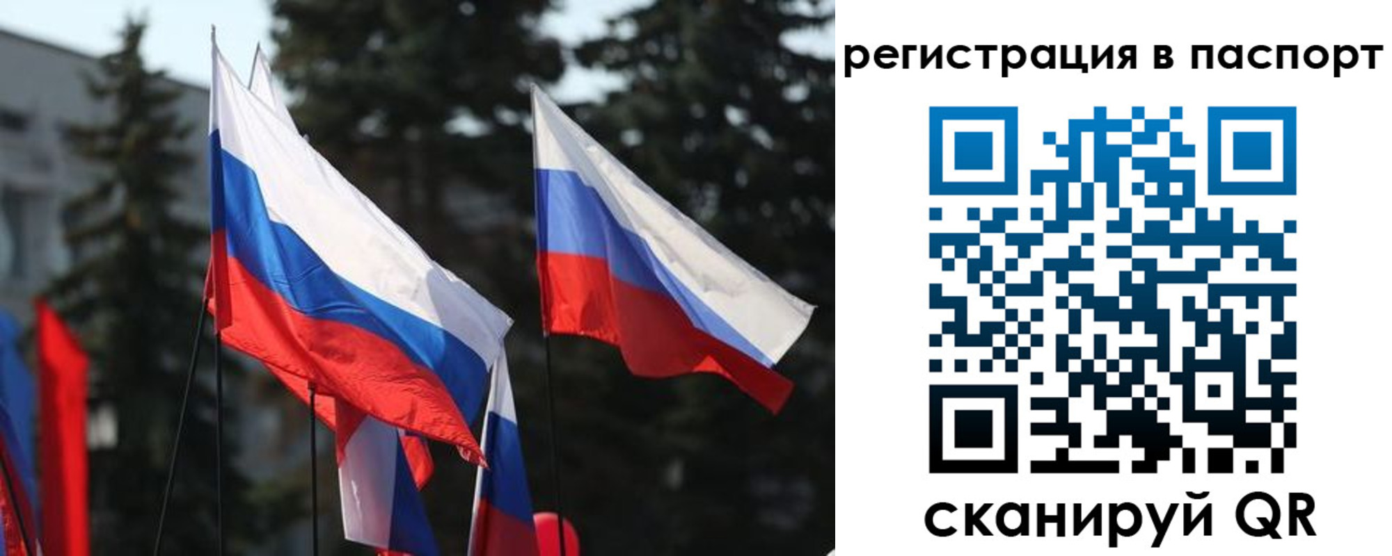 прописка штамп в Домодедово
